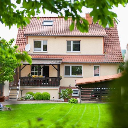 Ferienhaus Og1 "Westerwald Blick" Martinfeld Екстер'єр фото