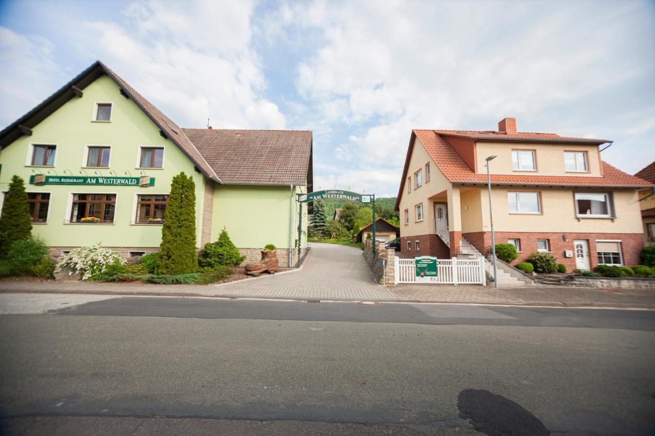 Ferienhaus Og1 "Westerwald Blick" Martinfeld Екстер'єр фото