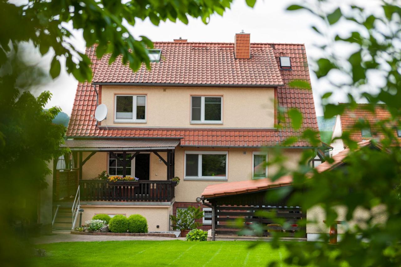 Ferienhaus Og1 "Westerwald Blick" Martinfeld Екстер'єр фото